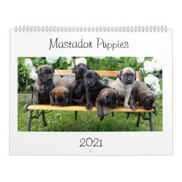 Mastador Puppies Agenda Kalender