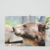 Master Bruin (Staand voorkant)