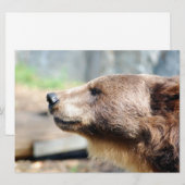 Master Bruin (Voorkant / Achterkant)