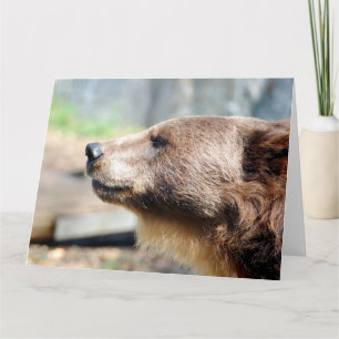 Master Bruin Kaart