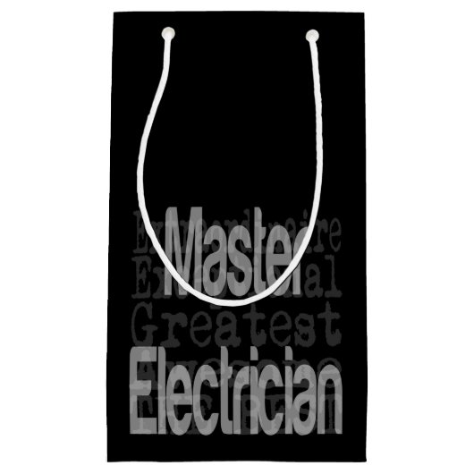 Master Electrician Extraordinaire Petit sac cadeau (Devant)
