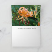 MASTER GARDENERS Creëer prachtige wereld Kaarten (Binnen)