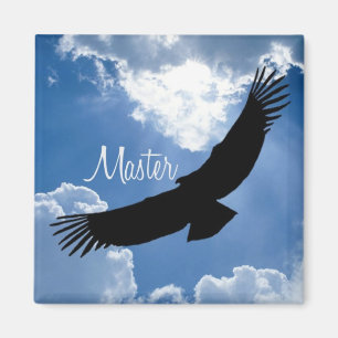 Master Magnet Magneet