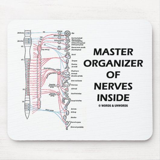 Master Organizer of Nerves Inside (autonome) Muismat (Voorkant)