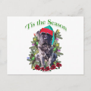 Mastiff 3 "Tis Briefkaart