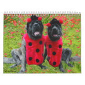 Mastiff Aankleden Kalender (Hoes)