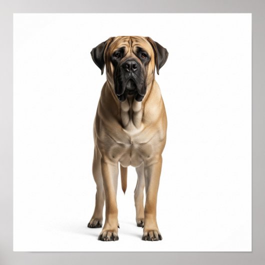 Mastiff Art Poster (Voorkant)