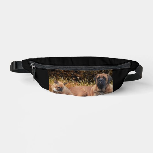 Mastiff avec Bouledogue français (Recto)