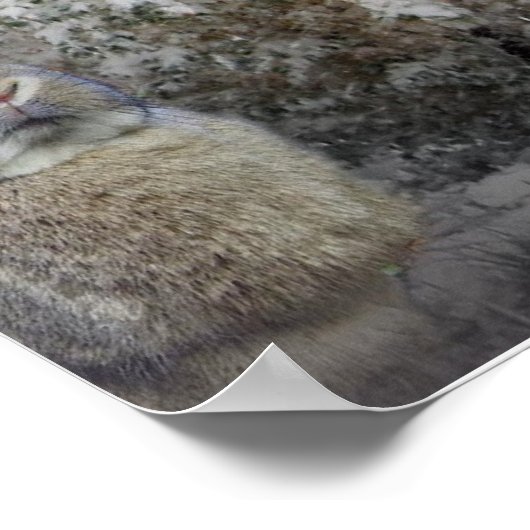 Mastiff avec petit poster de lapin (Coin)