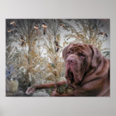 Mastiff avec petit poster de lapin (Devant)