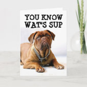 MASTIFF CHIEN CARTE D'ANNIVERSAIRE (Devant)