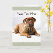 Mastiff / Chien sur la carte de voeux Arrière - pl (Fleur jaune)