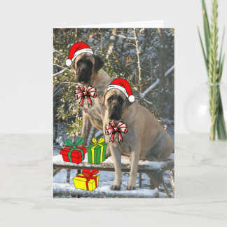 Mastiff Christmas Kaart