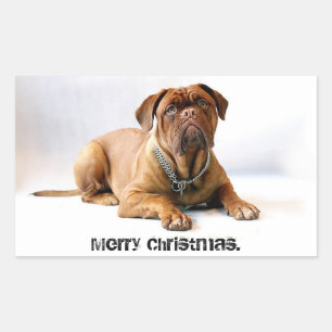 Mastiff Deadpan Chien Joyeux Sticker de Noël