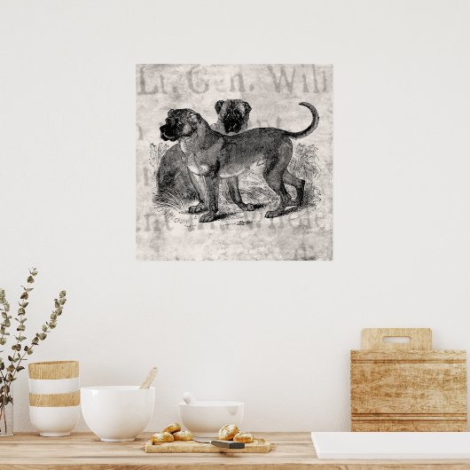 Mastiff Dog 1800s Mastiffs Dogs Sjablonen Poster (Keuken)