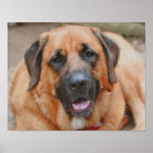 Mastiff Dog Art Foto's schilderen Poster (Voorkant)
