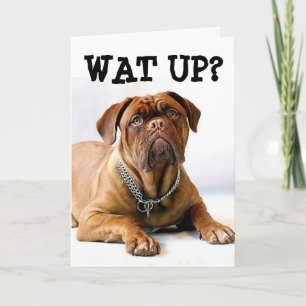 MASTIFF DOG DENKEN AAN JE FUNNY CARD KAART