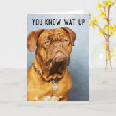 MASTIFF DOG FUNNY BIRTHDAY CARDS KAART (Gele Bloem)
