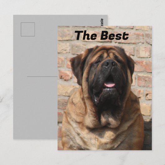  Mastiff englische Dogge Vatertag  Briefkaart (Voorkant / Achterkant)