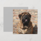 Mastiff englische Dogge Vatertag Kaart (Voorkant / Achterkant)