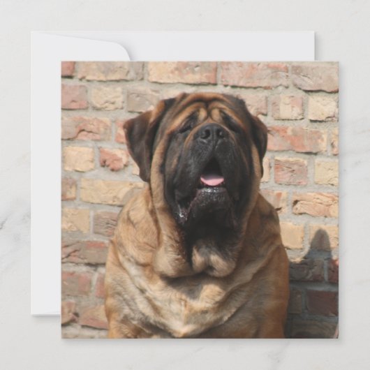 Mastiff englische Dogge Vatertag Kaart (Voorkant)