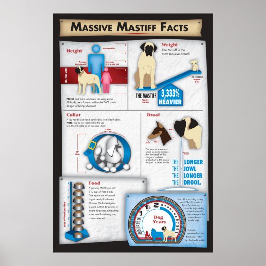 Mastiff Facts Poster (Voorkant)