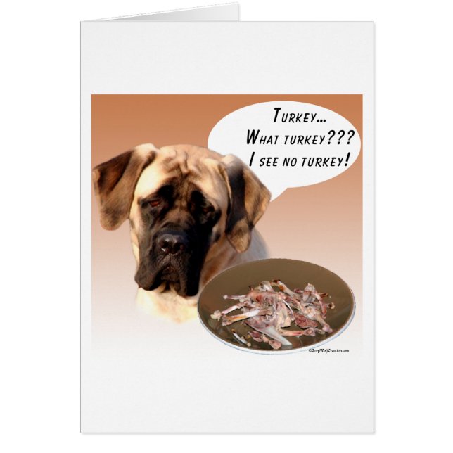 Mastiff (Fawn) Turkije (Voorkant)