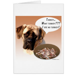 Mastiff (fawn) Turquie