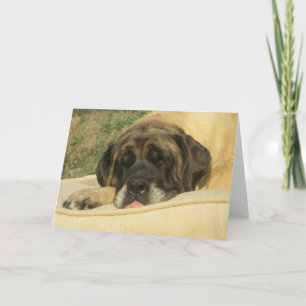 Mastiff Greeting Kaart
