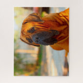 Mastiff hond. legpuzzel (Verticaal)