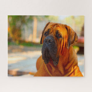 Mastiff hond. legpuzzel