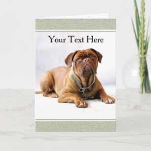 Mastiff / Hond op Witte Achtergrond Wenskaart Kaart