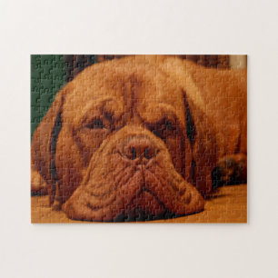 Mastiff Hondenras. Legpuzzel