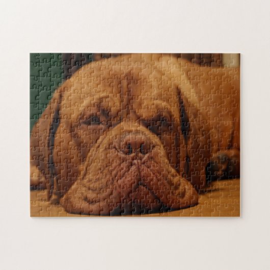 Mastiff Hondenras. Legpuzzel (Horizontaal)