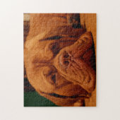 Mastiff Hondenras. Legpuzzel (Verticaal)