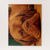 Mastiff Hondenras. Legpuzzel (Verticaal)