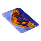 Mastiff Magnet - "Brutus" (Côté Droit)