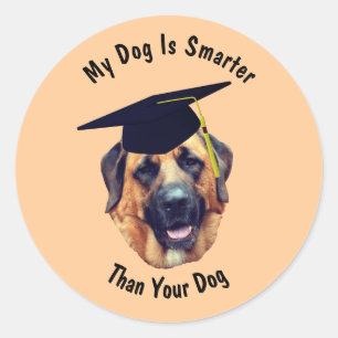 Mastiff mijn hond slimmer dan je hond grappig ronde sticker
