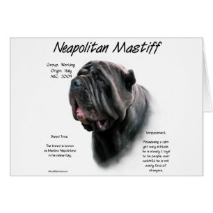 Mastiff napolitain (noir)