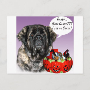 Mastiff (pluizig) Halloween Snoep Briefkaart