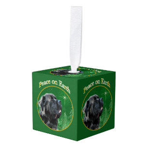 Mastiff (pluizig) Vrede Kubus Ornament