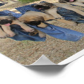Mastiff-Poster Poster (Hoek)