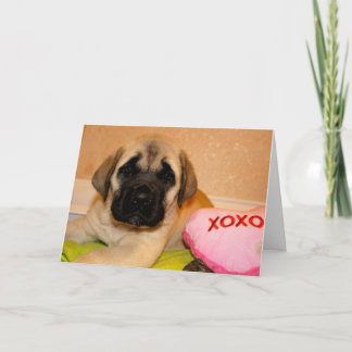 Mastiff puppy valentijn kaart