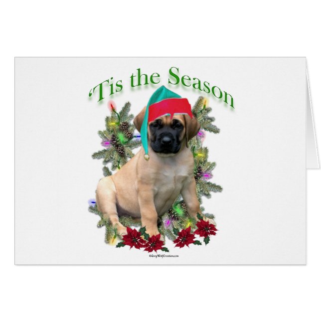 Mastiff Tis (Devant horizontal)