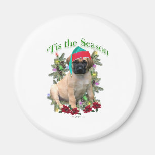 Mastiff "Tis Magneet