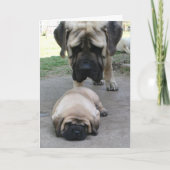 Mastiff vader en puppy Vaderdag Kaart (Voorkant)