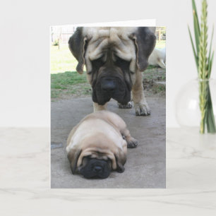 Mastiff vader en puppy Vaderdag Kaart