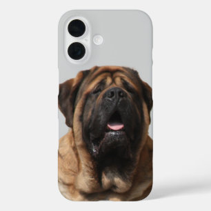 Mastiff Vakantie Engelse Mastiff iPhone 16 Hoesje