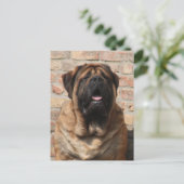 Mastiff Vatertag englische Dogge, Briefkaart (Staand voorkant)