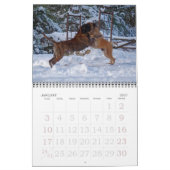 Mastiffs Calendar Kalender (Jan 2027)